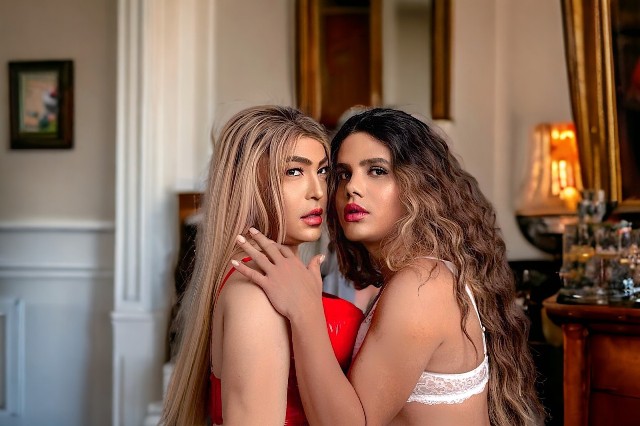ACOMPANHANTES TRAVESTIS